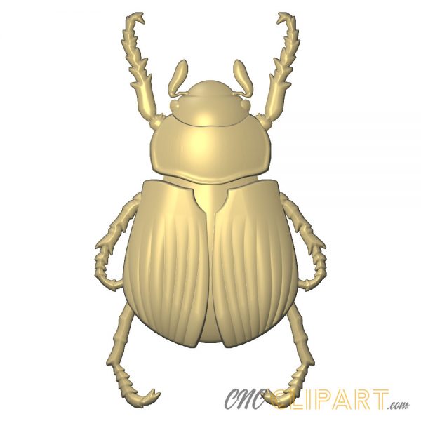 a 3D Relief Model of a Scarab Beetle