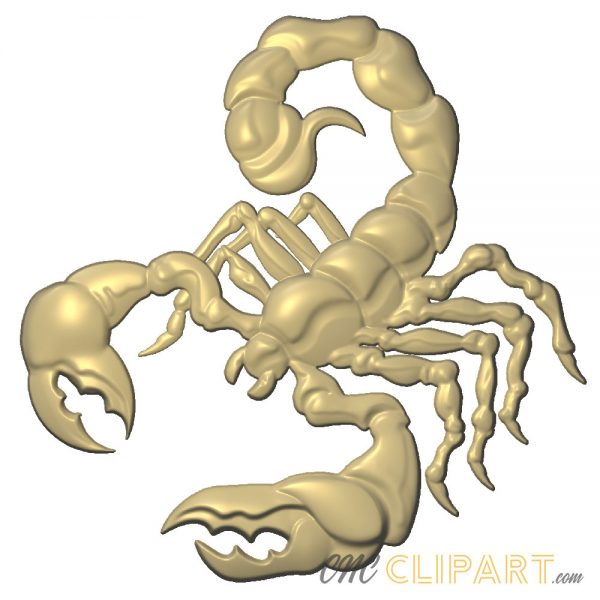 A 3D Relief Model of a Scorpion