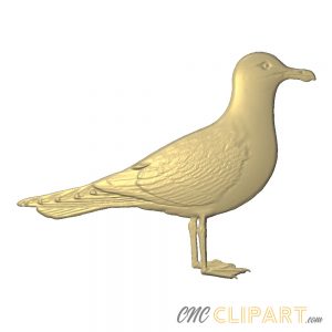 a 3D Relief Model of a Seagull