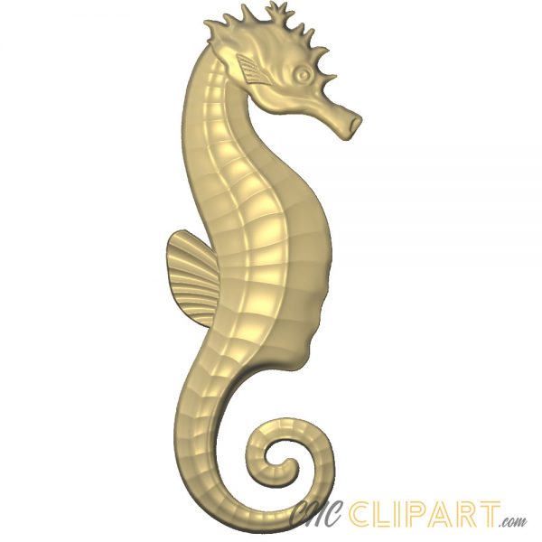 A 3D Relief Model of a Seahorse