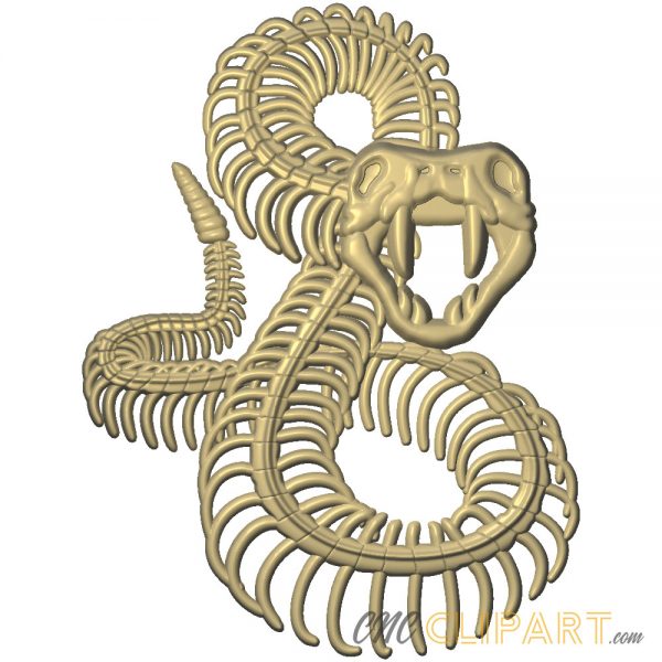 A 3D Relief Model of a Snake Skeleton