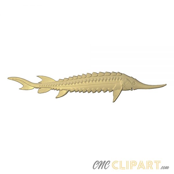 A 3D Relief Model of a Sturgeon