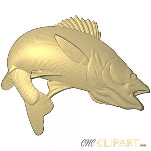 A 3D Relief Model of a Walleye Fish