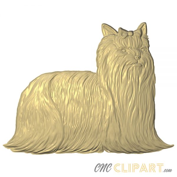 A 3D Relief Model of a long-haired Yorkshire Terrier