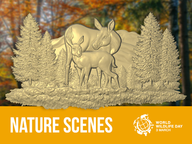 Nature Scene relief models