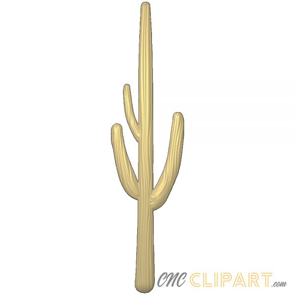 A 3D Relief Model of a Cactus