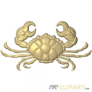 A 3D Relief model of a Crab
