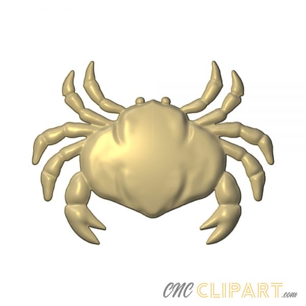 A 3D Relief model of a Crab