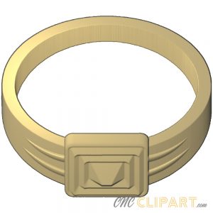 A 3D Relief model of a Ring