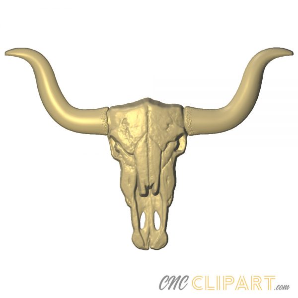A 3D Relief model of a Texas Longhorn Skull